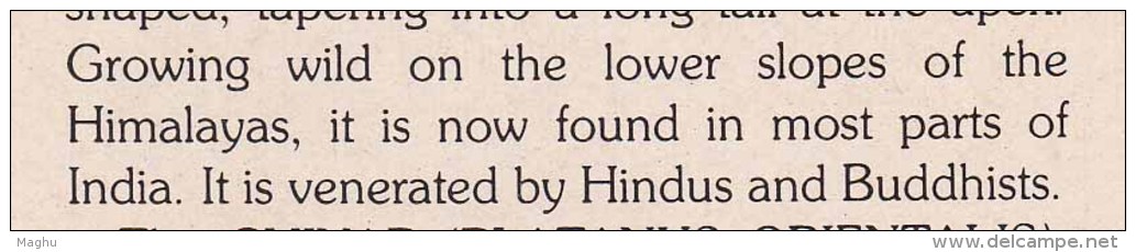 Stamped Information On Indian Trees, Reference On Hinduism And Buddhism  Worship, India 1987 - Trees