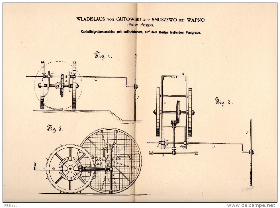 Original Patentschrift - Wladislaus Von Gutowski Auf Smuszewo Bei Wapno , 1884 , Kartoffel - Grabemaschine , Agrar !!! - Maschinen