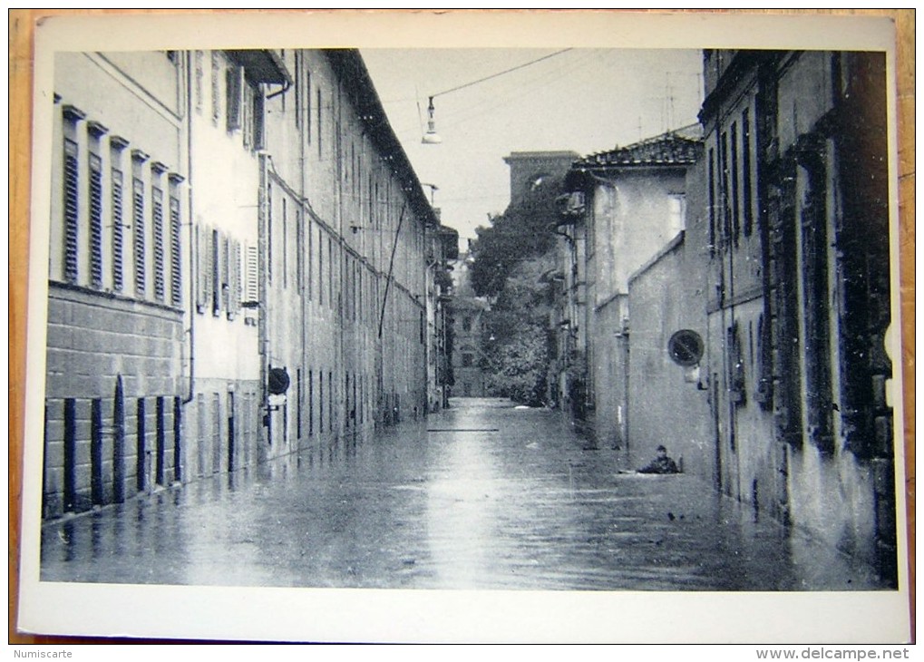 Cpm FIRENZE - Via Tripoli 4/11/1966 - ( Alluvione ) - Firenze (Florence)