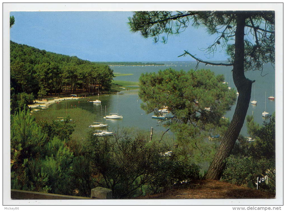 CARCANS--MAUBUISSON--Le Lac ,et Au Fond ,BOMBANNES  ,cpm N° 33121  éd  Yvon - Carcans