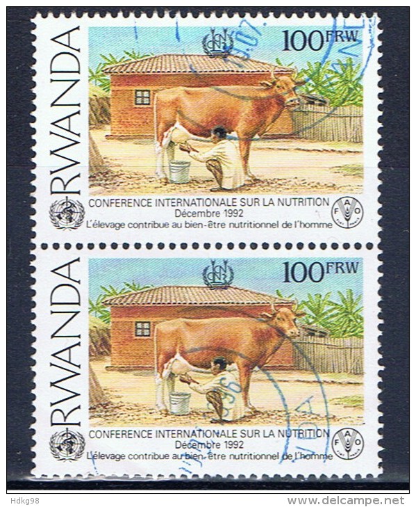 RWA+ Ruanda 1992 Mi 1453 C Melker - Used Stamps