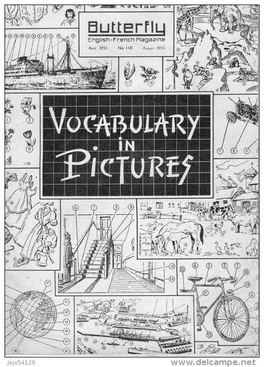 BUTTERFLY - "Vocabulary In Pictures" N°:110 - Août 1955 - Inglés/Gramática