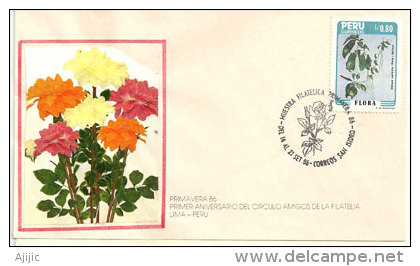 Flore (Trompette Des Anges) Sur Lettre "Circulo Amigos De La Filatelia"Lima. Perù. Oblitération Illustrée Premier Jour - Peru