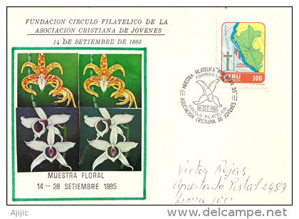 PEROU. Muestra Floral (Orchidées) . Une Enveloppe Souvenir 1985 - Orquideas