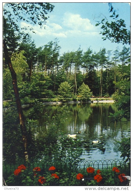 ZANDHOVEN - DOMEIN HOOIDONK - 2 Scans - Zandhoven