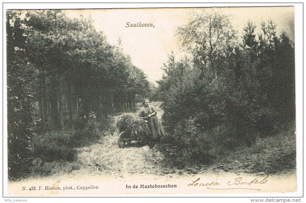 "Santhoven / Zandhoven - In De Mastebosschen" - Zandhoven