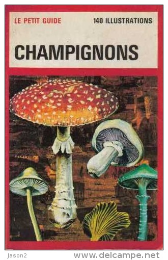 Le Petit Guide Des Champignons 1977 - Nature