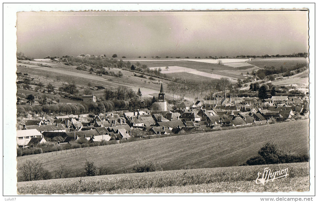 Cerisiers     Photo Véritable   E  Mignon Vue D'ensemble. - Cerisiers