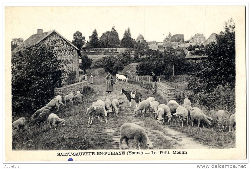 89 SAINT SAUVEUR EN PUISAYE LE PETIT MOULIN - Saint Sauveur En Puisaye