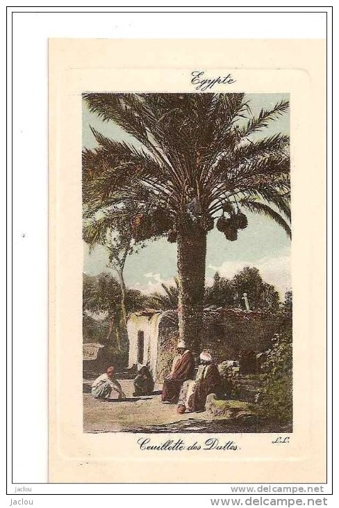 EGYPTE CUEILLETTES DES DATTES ,PERSONNAGES,COULEUR REF 16944 - Cultures