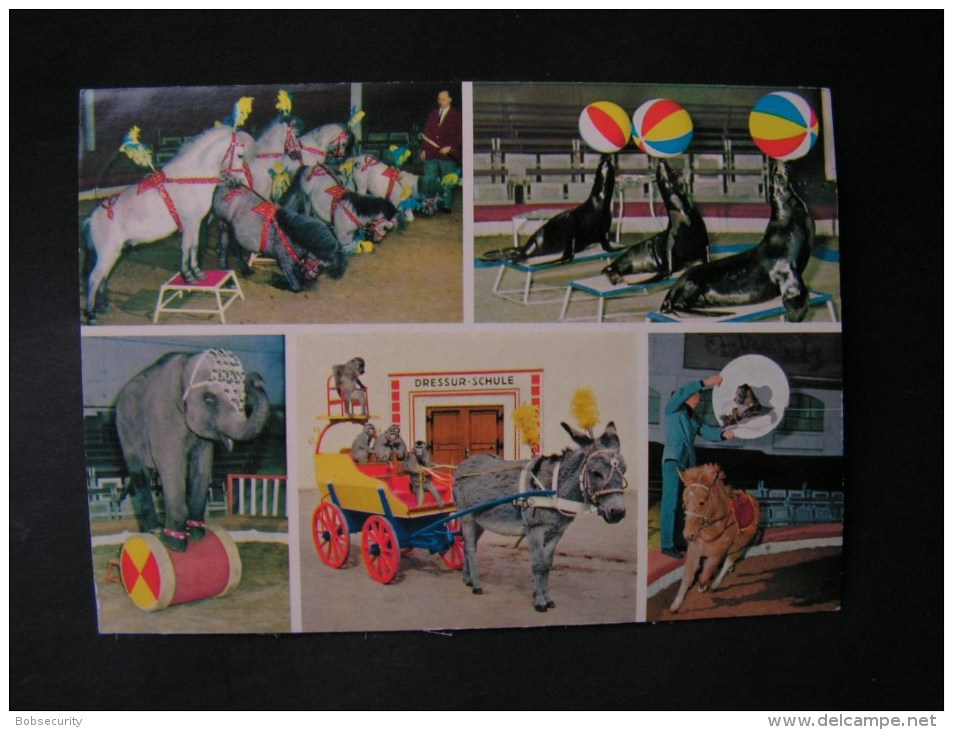 == Hamburg  Tierpark Stelleinge Hagenbeck ..ca, 1970  Circus - Stellingen