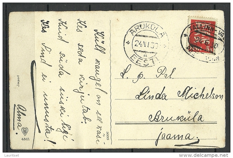 Estonia Estland Estonie Alte Postkarte Natur Sent 1930 Railway Cancel Tallinn-Valga - Estland