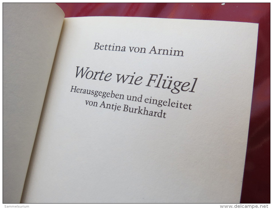 Bettina Von Arnim "Worte Wie Flügel" - Short Fiction
