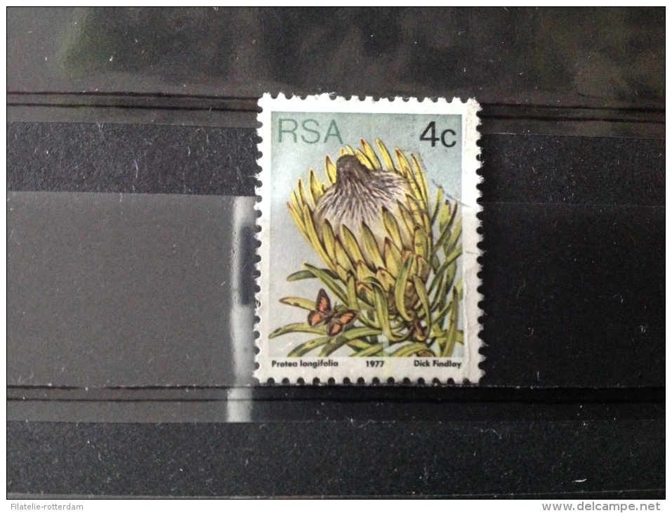 Zuid-Afrika - Protea (4) 1977 - Oblitérés
