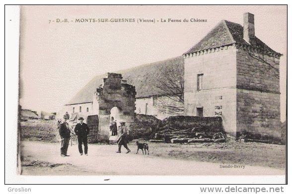 MONTS SUR GUESNES (VIENNE) 7 LA FERME DU CHATEAU - Monts Sur Guesnes