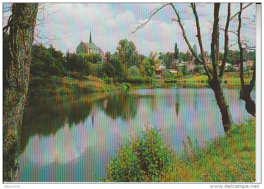 Cpsm 85 LE POIRE SUR VIE - Site Du Bourg - D19 121 - Poiré-sur-Vie