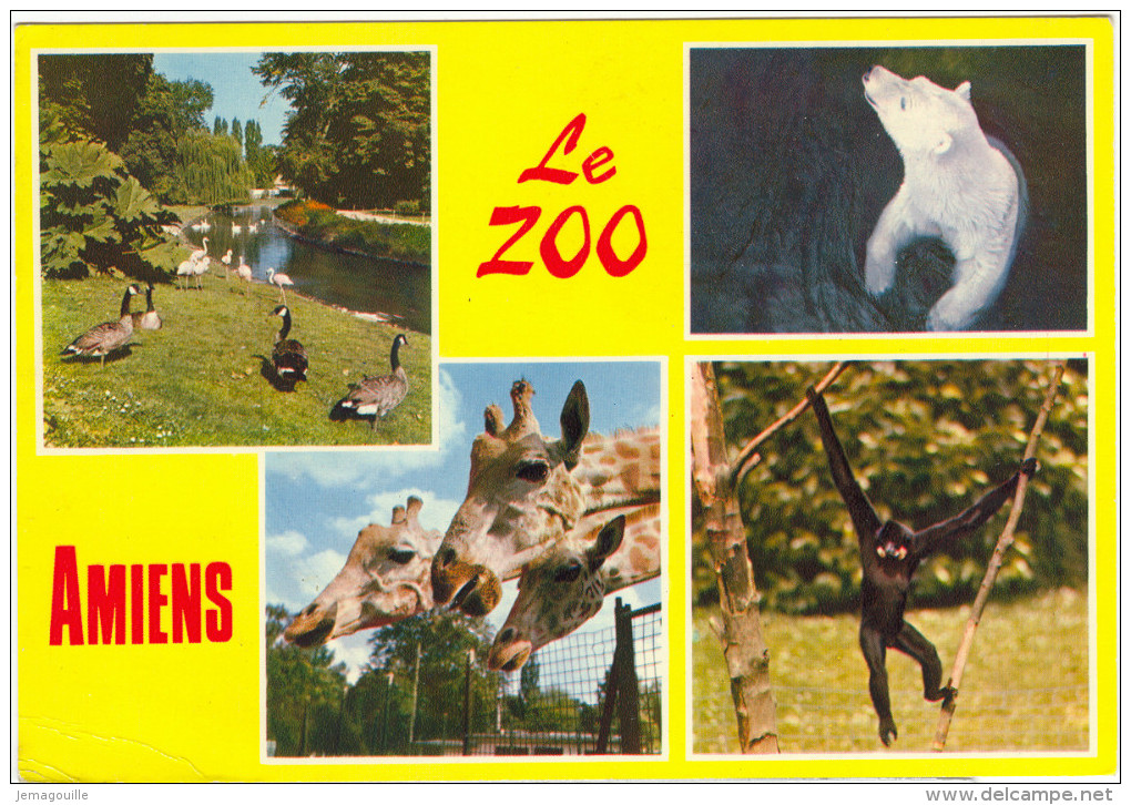 AMIENS 80 - Zoo D'Amiens - Multivues -  26.7.1971 - J-3 - Amiens