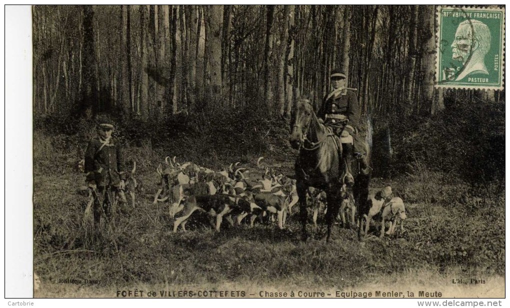 CHASSE à COURRE-Villers-Cotterets- Equipage MENIER,la Meute- - Chasse