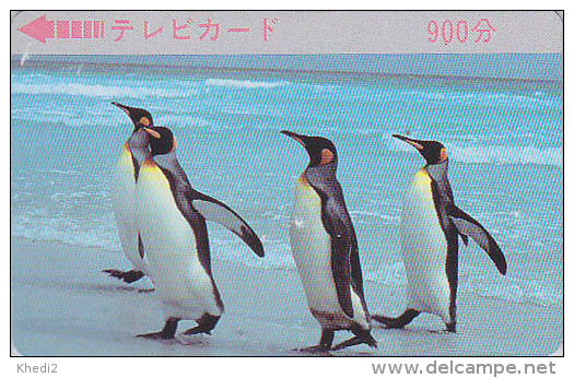 RARE Carte JAPON - ANIMAL - Oiseau MANCHOT Pingouin - PENGUIN Bird JAPAN Prepaid TV Television Card - PINGUIN - 2465 - Pinguins