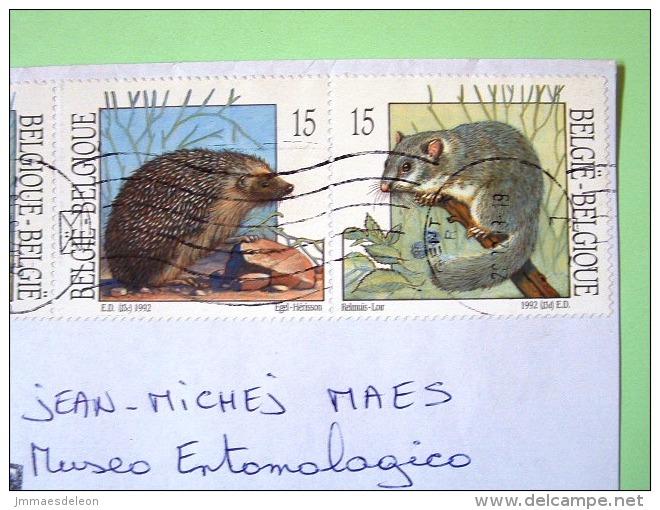Belgium 2013 Cover To Nicaragua - Philately - Christmas - Animals Squirrel Hedgehog Possum Loir Herisson - Storia Postale