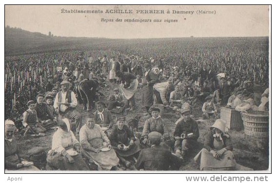 DAMERY ( Ets Achille Perrier - Repas Des Vendangeurs Aux Vignes) - Other & Unclassified