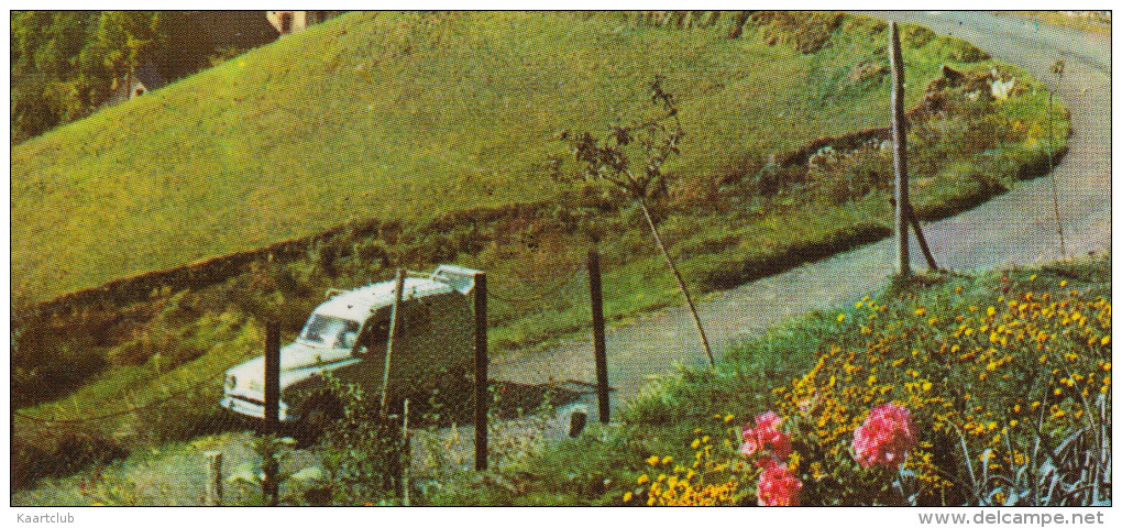 Sites Pyreneens: SIMCA ARONDE COMMERCIALE & Le CHIEN Des Pyrénées - Le Col De Port - France - Auto/Car/Voiture - Voitures De Tourisme