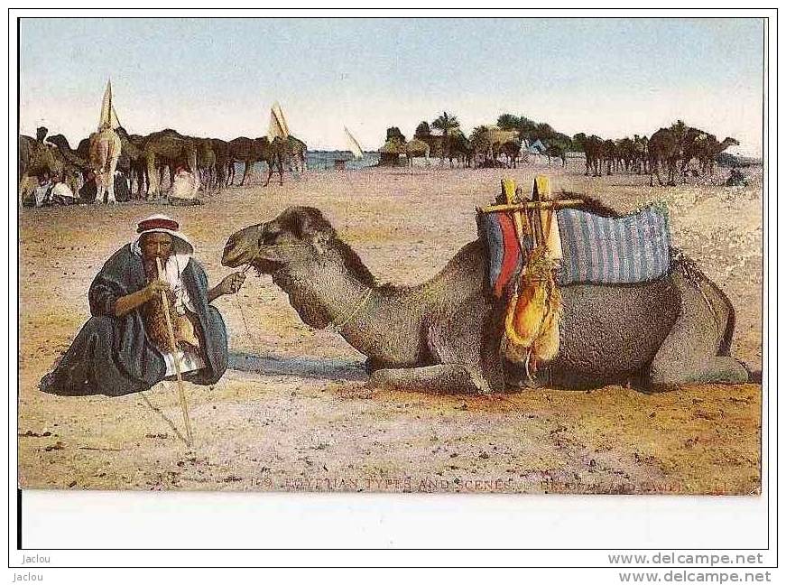 EGYPTE SCENES ET TYPES BEDOUINS LOUANT DES CHAMEAUX ,PERSONNAGES.COULEUR  REF 16991 - Personnes