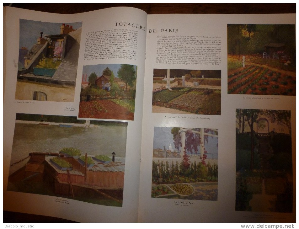 1941 :Gazo; URSS; Potagers de PARIS ; Vol à voile; Ecatombe champignons; Anc. Combattants Vichy; PETAIN et les jeunes