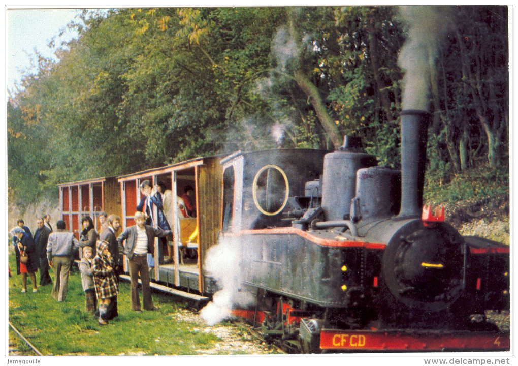 CAPPY Par BRAY SUR SOME 80 - Le Petit Train à Vapeur Au Départ De FROISSY - 22.5.1974 - J-3 - Bray Sur Somme