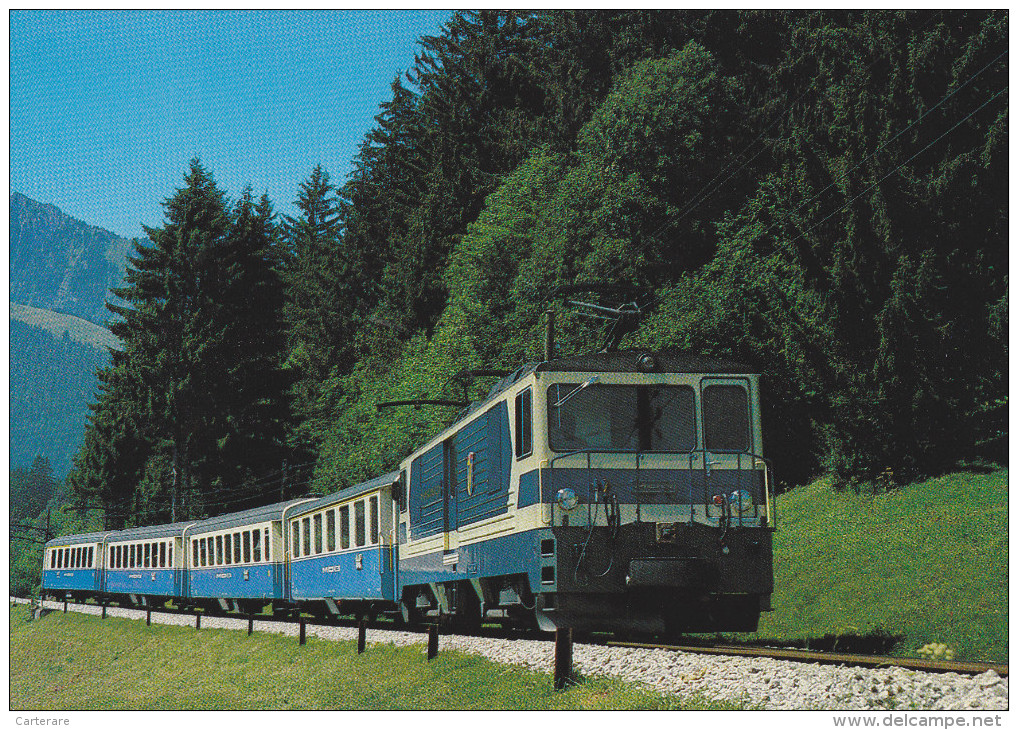 SUISSE,SCHWEIZ,SVIZZERA,S WITZERLAND,HELVETIA,SWISS ,VAUD,RIVIERA PAYS D´ENHAUT,chateau D´oex,rougemont,TRAIN,RAI L,M O - Rougemont