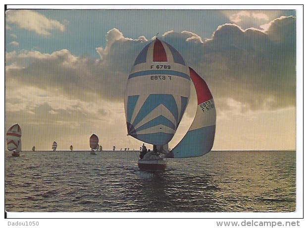 CPSM  Le Bijou Bell - Sailing Vessels