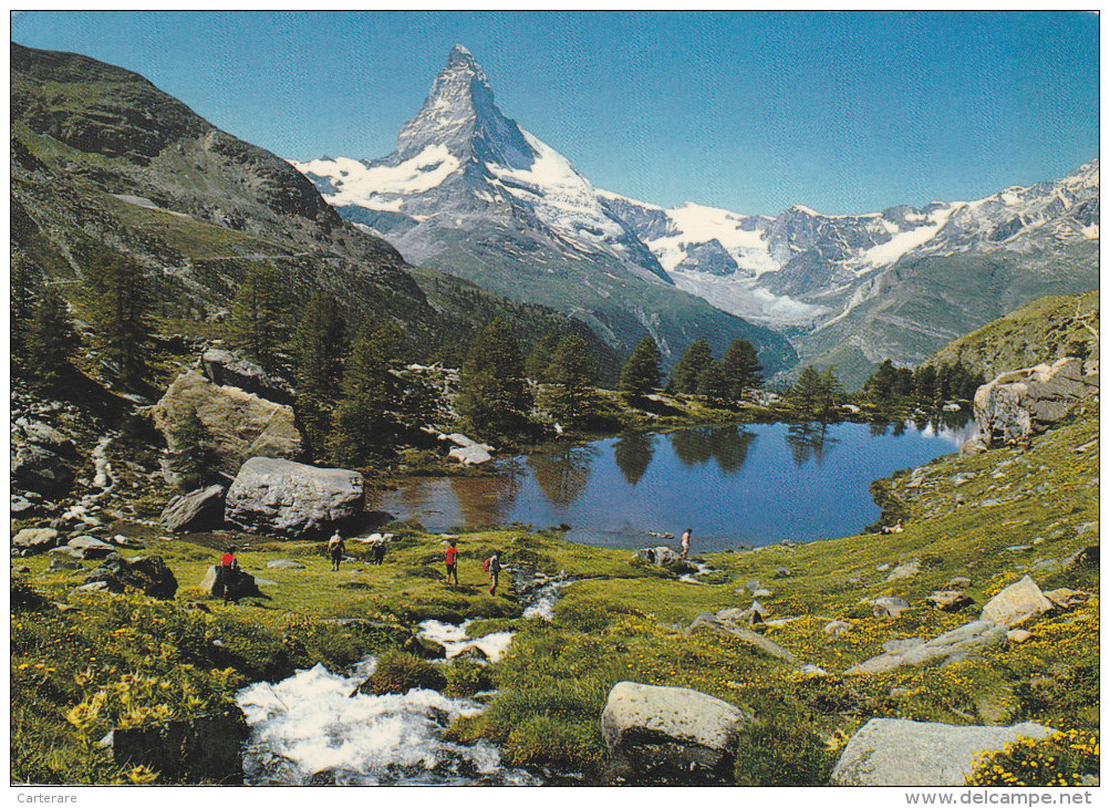 SUISSE,HELVETIA,SWISS,SWI TZERLAND,SVIZZERA,SCHWEIZ ,ZERMATT,PRABORGNE,VALAIS ,VIEGE,RANDONNEUR - Viège