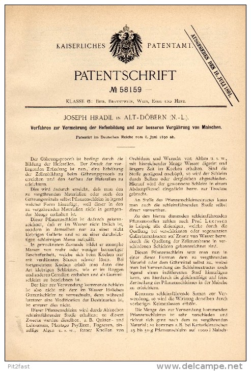 Original Patentschrift -Joseph Hradil In Altdöbern 1890, Hefebildung Zur Gährung Von Maische , Brauerei , Bier , Alkohol - Historische Dokumente