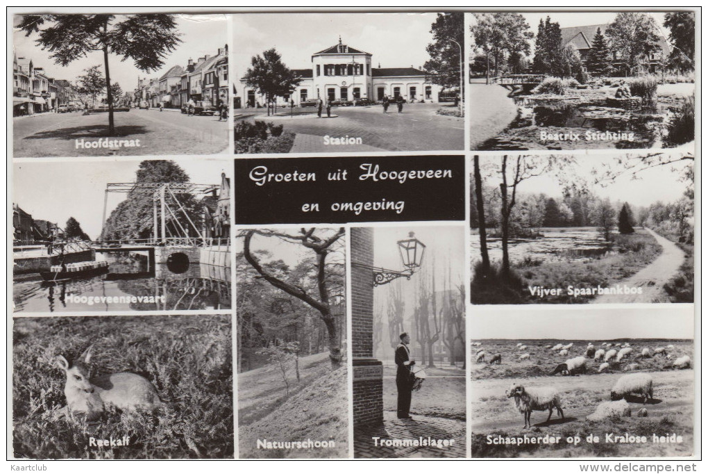 Groeten Uit Hoogeveen En Omgeving  - Multiview - Nederland/Holland - Hoogeveen