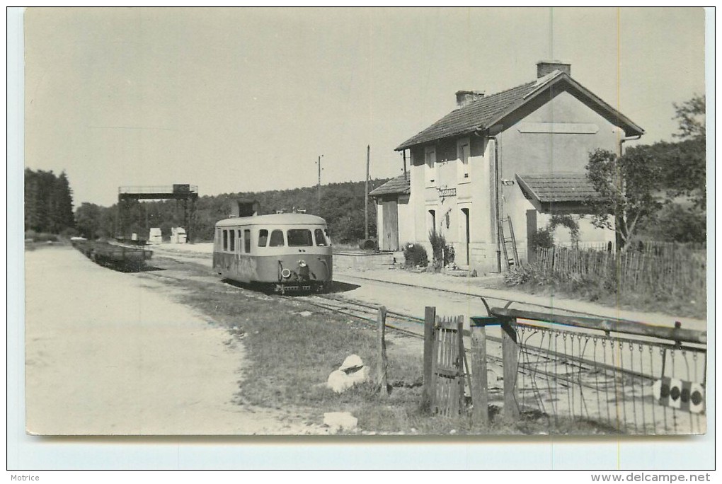 MASSANGIS (chemins De Fer De L´Yonne) -  La Gare, Autorail. (photo Laurent Format Carte Ancienne) - Stations With Trains