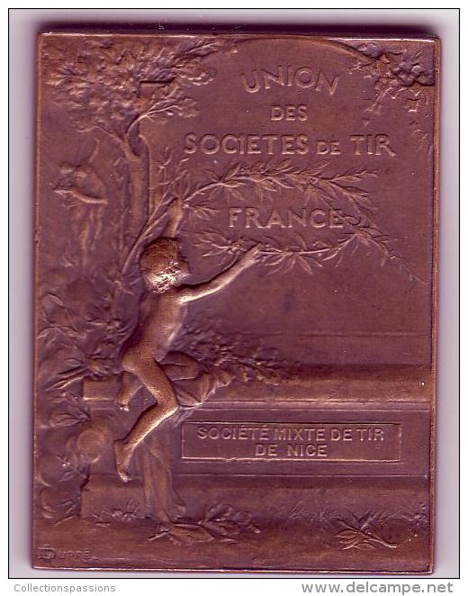 MEDAILLE - Union Des Sociétés De Tir - NICE 06 - Professionnels / De Société