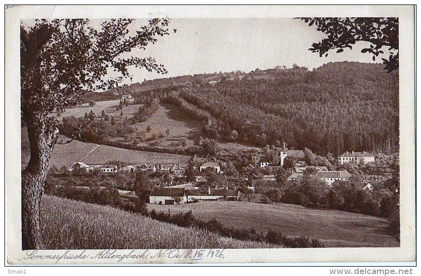 AK NIEDERÖSTERREICH SOMMERFRISHE ALTENGBACH OLD POSTCARD 1926 - Wiener Neustadt