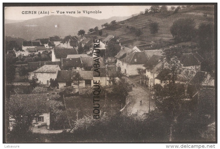 01----CERIN--Vue Vers Le Vignoble - Non Classés