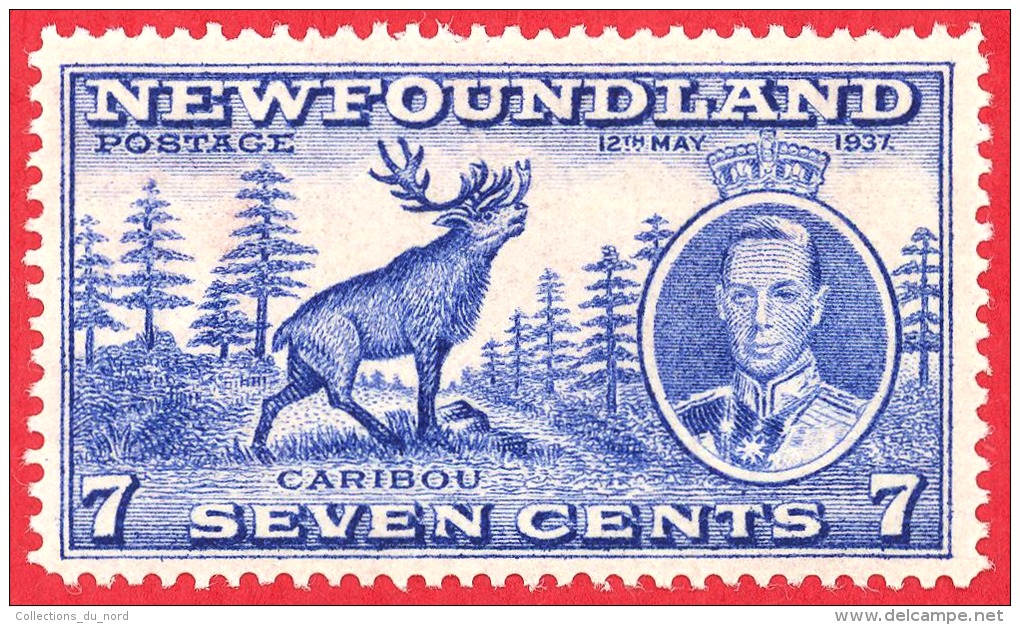 Newfoundland # 235 - 7 Cents -  Mint N/H - Dated 1937 - Caribou / Caribou - 1908-1947