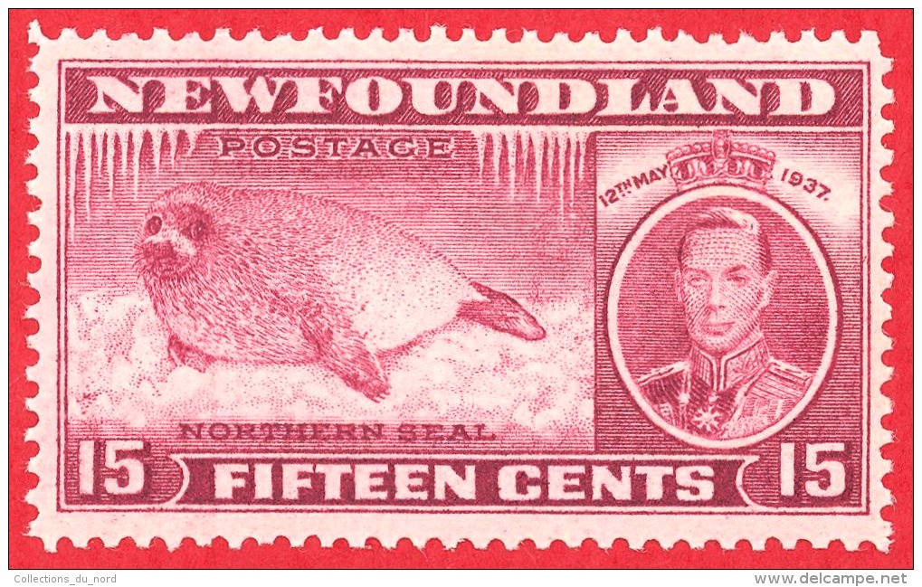 Newfoundland # 239 - 15 Cents -  Mint N/H - Dated 1937 - Harp Seal Pup / Bébé Phoque - 1908-1947