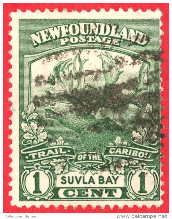 Newfoundland # 115 - 1 Cent - O - Dated 1919 - Sulva Bay - 1908-1947