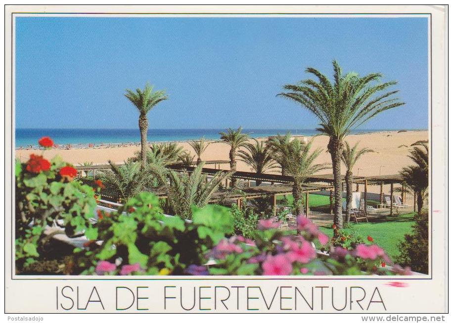 (CANA159) FUERTEVENTURA. - Fuerteventura