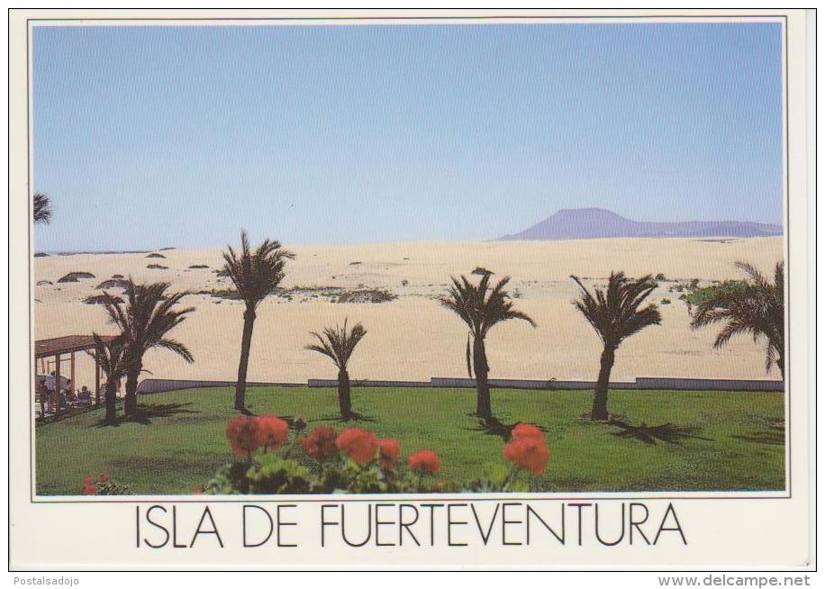 (CANA170) FUERTEVENTURA. - Fuerteventura