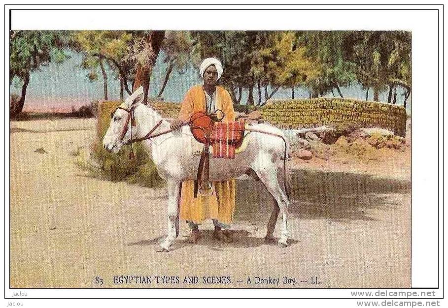 EGYPTE SCENES ET TYPES ANIERS ET SON ANE,COULEUR REF 17025 - Personnes