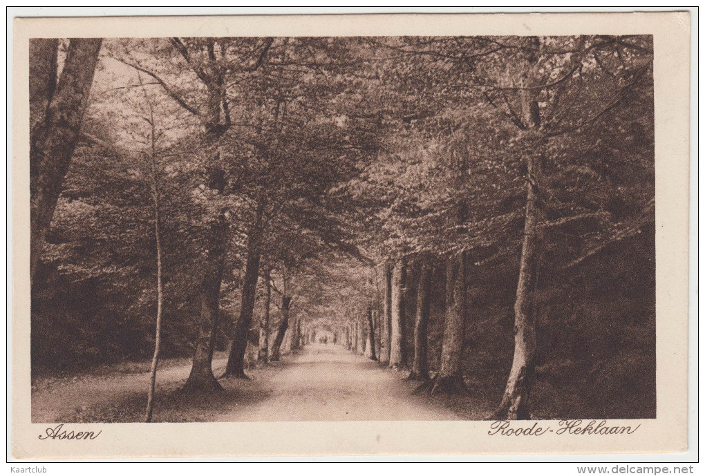 Assen  - Roode - Heklaan (1918)  - Holland/Nederland - Assen