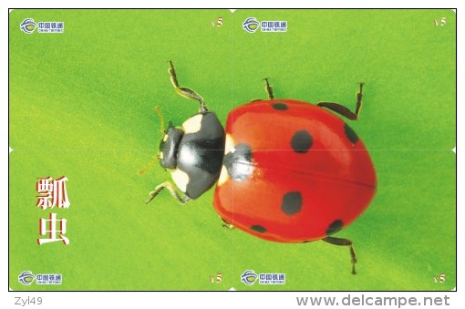 A02368 China Phone Cards Ladybug Puzzle 40pcs - Coccinelles