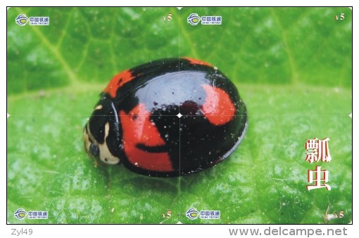 A02368 China Phone Cards Ladybug Puzzle 40pcs - Coccinelles