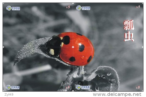 A02368 China Phone Cards Ladybug Puzzle 40pcs - Lieveheersbeestjes
