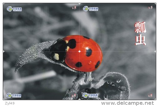 A02368 China Phone Cards Ladybug Puzzle 40pcs - Coccinelles