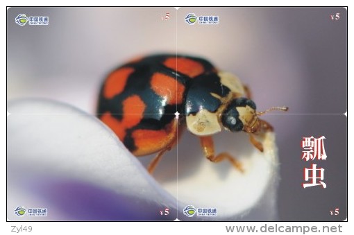 A02368 China Phone Cards Ladybug Puzzle 40pcs - Coccinelles